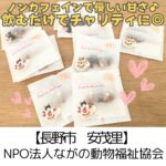 【長野市 安茂里】長野県動物福祉協会~パッケージも超かわいい!華やかでジューシーなフルーツティー~