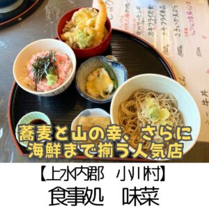 【上水内郡 小川村】食処味彩 ~山の幸はもちろん海の幸まで!個室風テーブル席も快適~