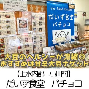 【上水内郡 小川村】だいず食堂パチョコ～豆乳スムージーから絶妙な味付けのナゲット・餃子・バーガーまで～