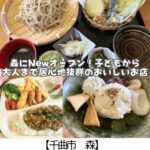 【千曲市 森】宮尾荘~お蕎麦・天ぷら・デザートに紅茶まで♪子どもも長居できちゃうお蕎麦屋さん~