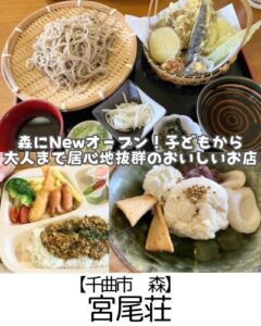 【千曲市 森】宮尾荘～お蕎麦・天ぷら・デザートに紅茶まで♪子どもも長居できちゃうお蕎麦屋さん～
