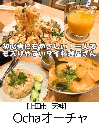 【上田市 天神】Ochaオーチャ~マイルドで食べやすさ◎家庭的な雰囲気も心地よいタイ料理屋さん~