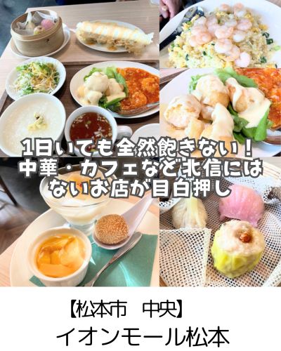 【松本市 中央】イオンモール松本~四川乃華とドトールと雑貨ショッピングで1日満喫~