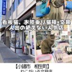 【小諸市 相生町】ねこのいる文具店万年堂～超カワイイ猫様×2！お店にいて、選んで楽しい！（駐車場あり）～