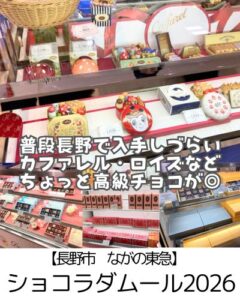【長野市 ながの東急】ショコラダムール2026～買う予定がない方も！試食もあって行くだけでも楽しい♪～