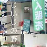 【千曲市】じいじの野菜～土日限定の無人販売！五加小学校近くの超激安＆新鮮野菜～