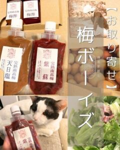 【お取り寄せ】「梅ボーイズ」梅チューブと梅酢を半年使った感想・無添加梅干しのお取り寄せレビュー