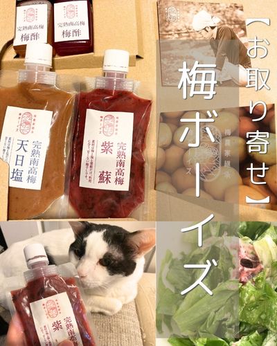 【お取り寄せ】「梅ボーイズ」梅チューブと梅酢を半年使った感想・無添加梅干しのお取り寄せレビュー