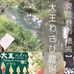 【安曇野市】大王わさび農場～わさびソフト、辛くないよ◎入場無料で心も癒される人気スポット～