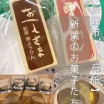 【長野市・小布施・千曲市など】竹風堂で新栗羊羹に目覚めてからの栗菓子探し