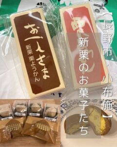 【長野市・小布施・千曲市など】竹風堂で新栗羊羹に目覚めてからの栗菓子探し